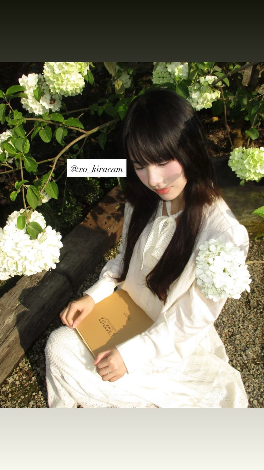 강추!🍅) CANON IXY 160 빈티지 디카 상품이미지10