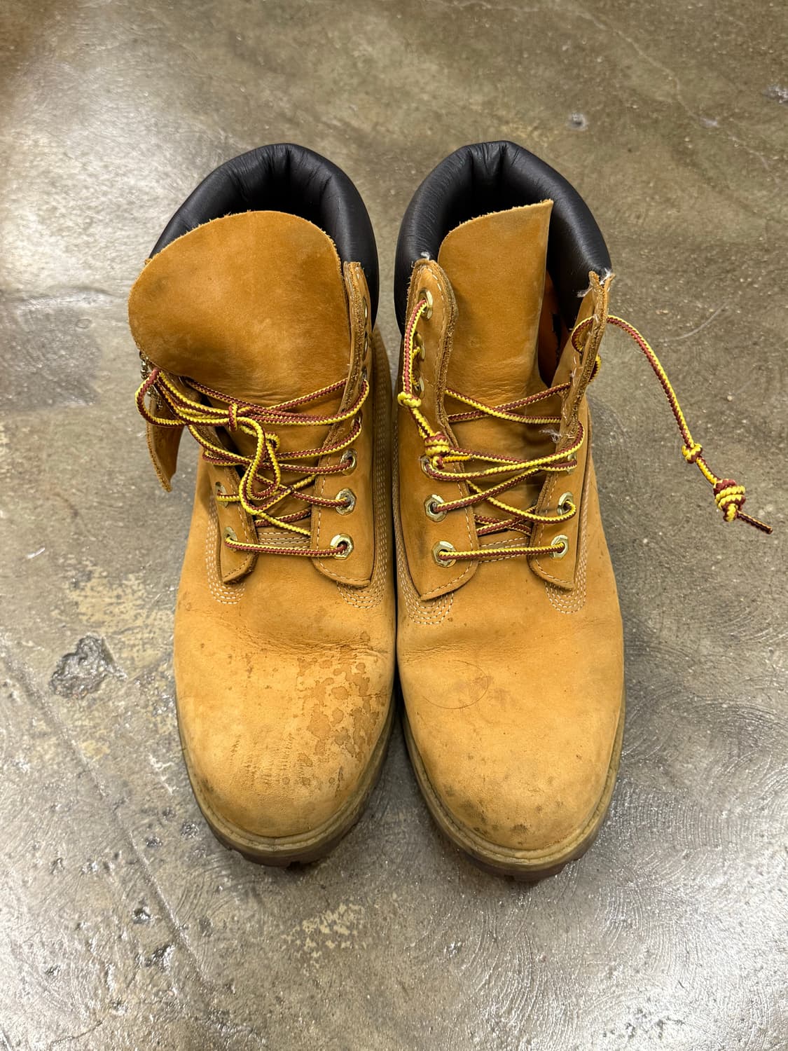 Timberland 팀버랜드 6인치 프리미엄 부츠 265 상품이미지2