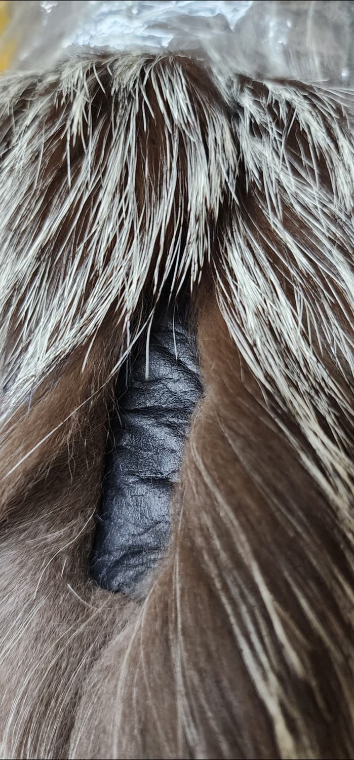 실버폭스 퍼 코트 상품이미지8