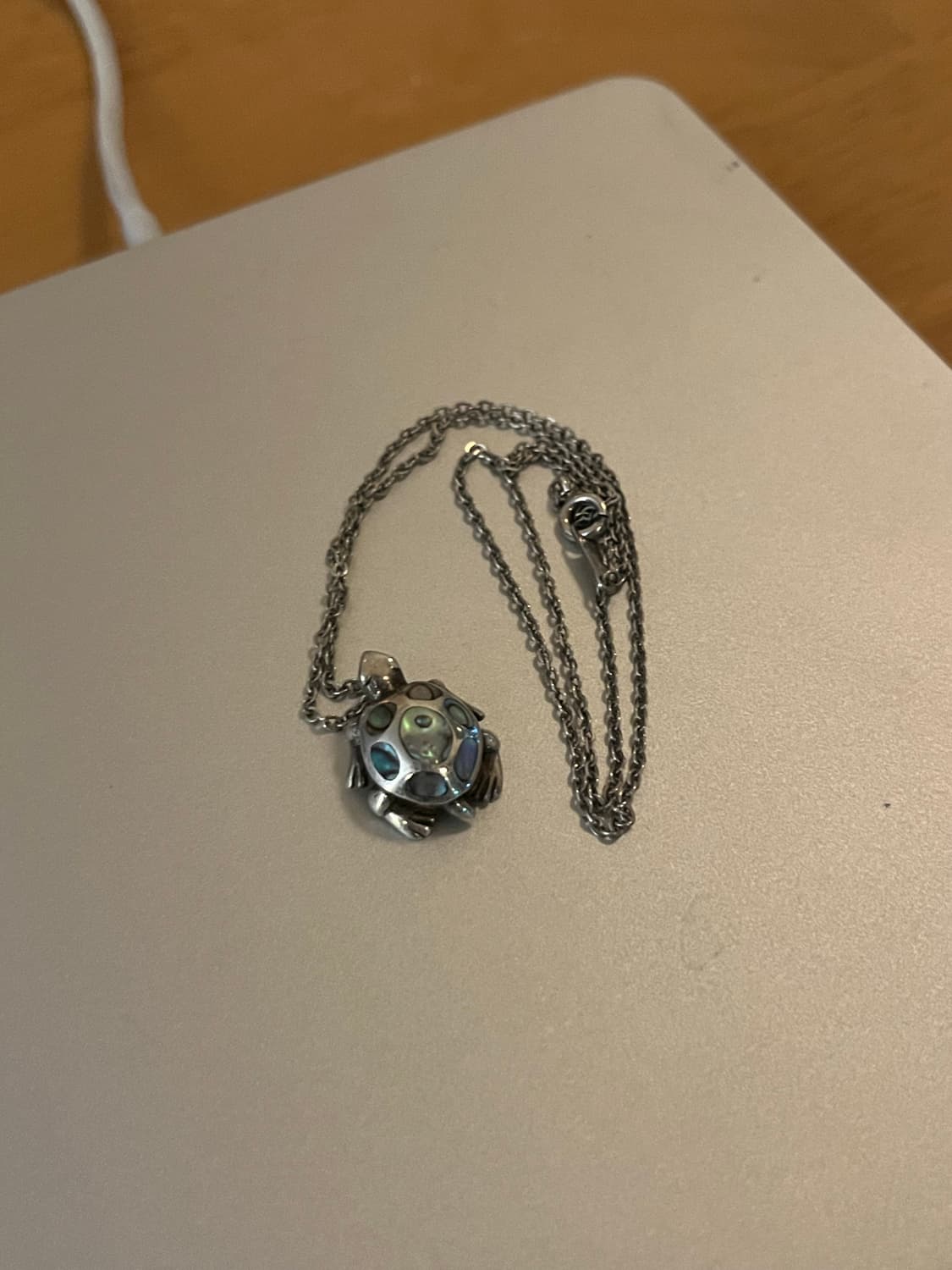 앤티크 9.25 실버 무드 영롱한 오팔/자개 거북이 목걸이 (에스파 닝닝 상품이미지2