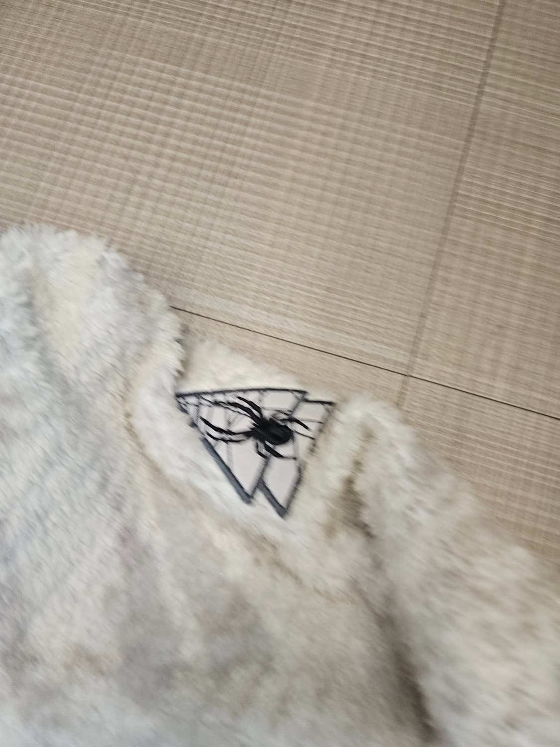 스파이더 프리마로프트 후디 패딩 상품이미지6