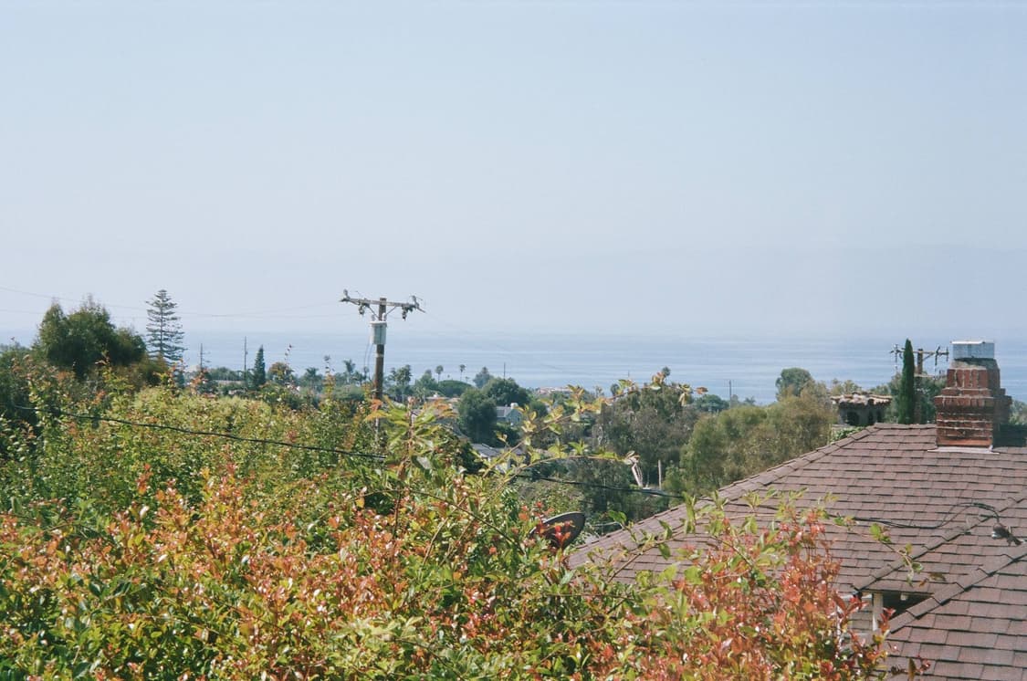 작례O 극휘귀 동원 dp2000 필름카메라 빈티지 필카 상품이미지5