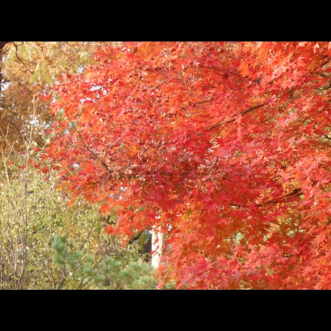 작례⭕️ 후지필름 XP150 + 박스  아쿠아 블루 메탈릭🌊  상품이미지7