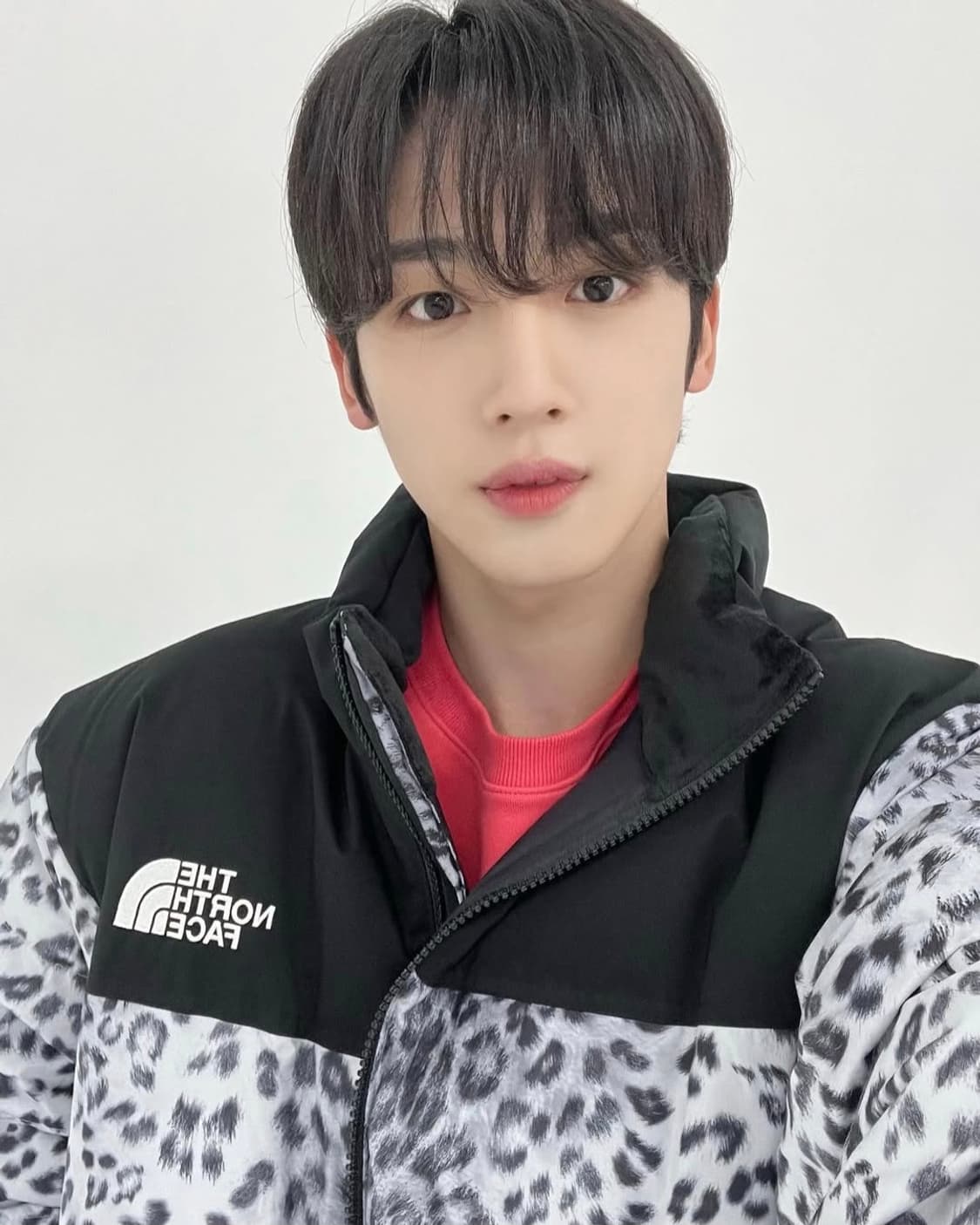 (정품/새제품/110) 노스페이스 노벨티 눕시 레오파드 실버 상품이미지3