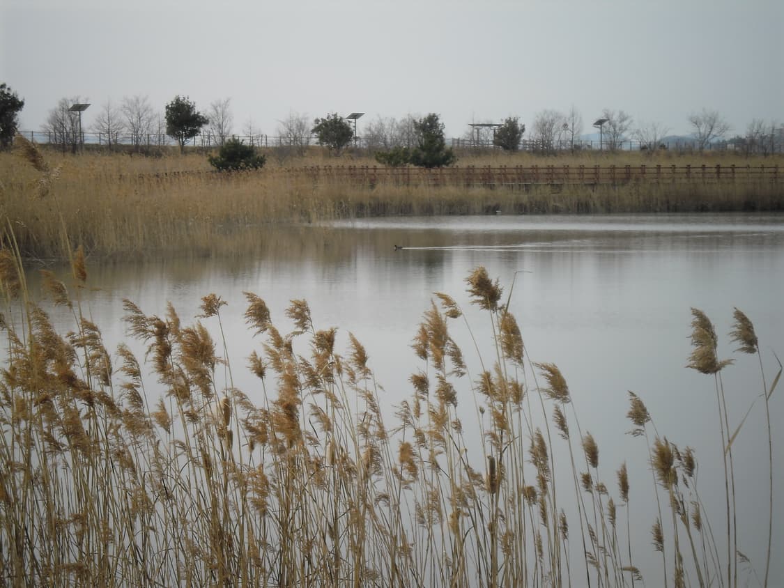 작례!) Samsung es9 삼성 빈티지 디카 상품이미지9