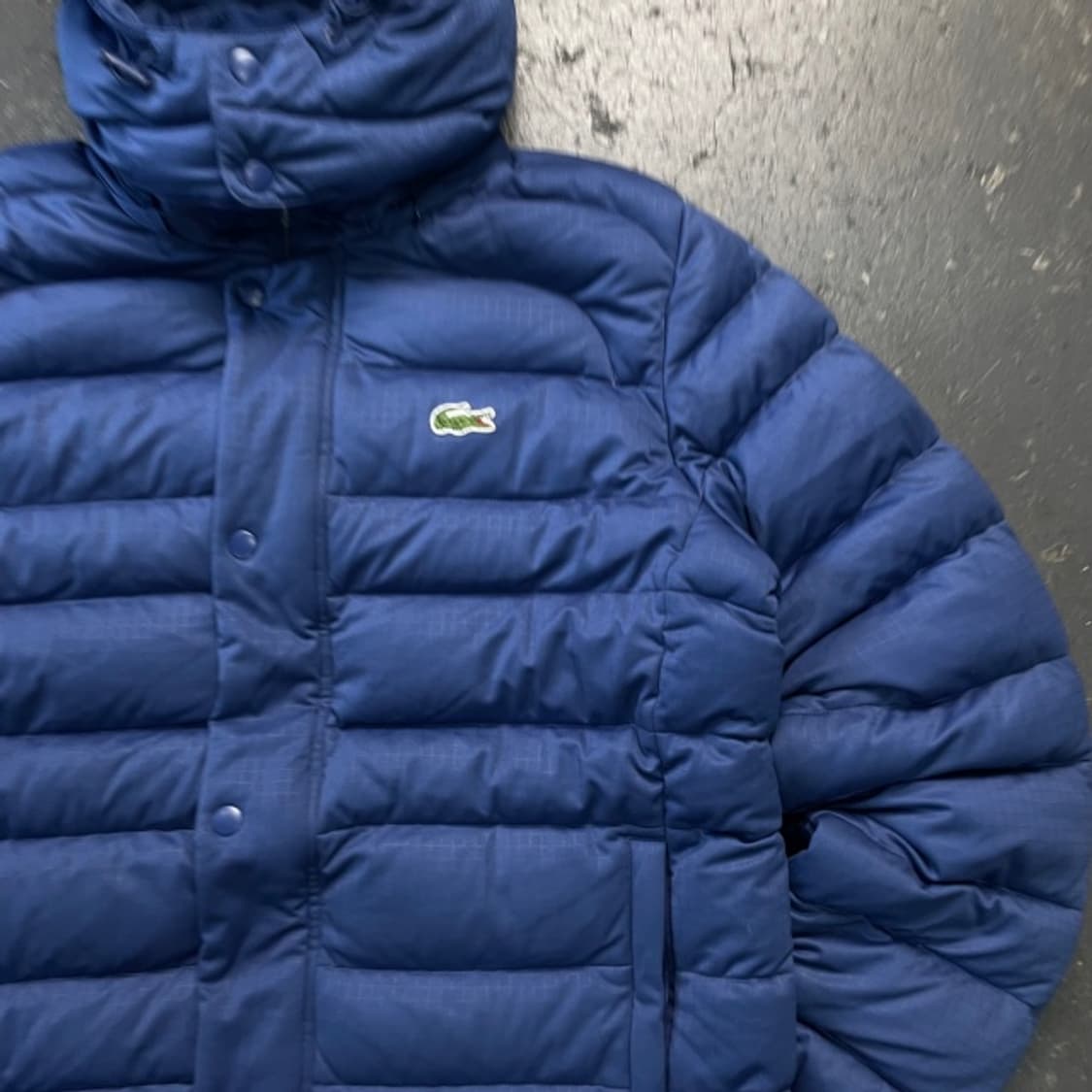 100 라코스테 경량패딩 상품이미지2