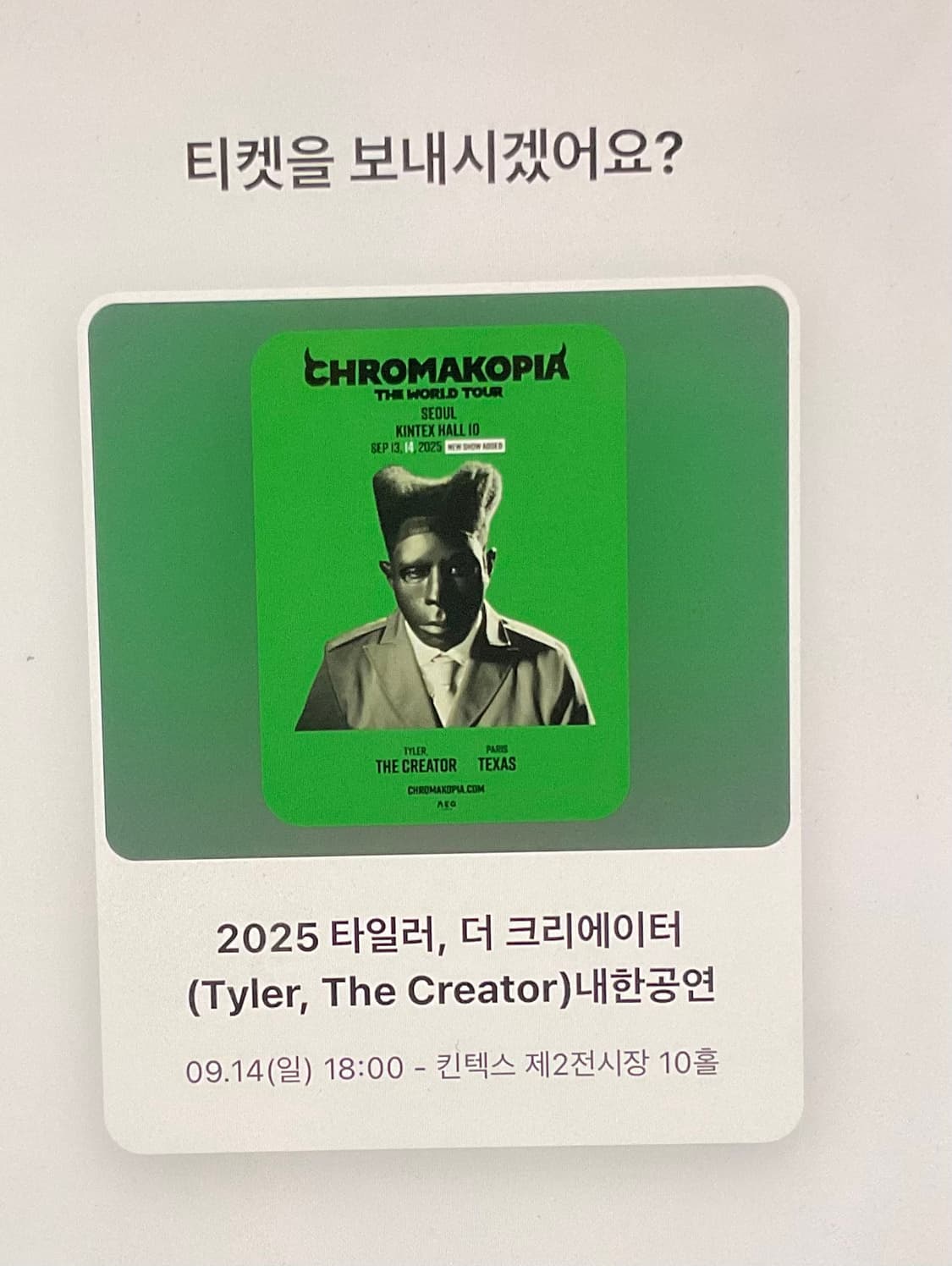 타일러 더 크리에이터 콘서트 내한 티켓 판매 상품이미지1