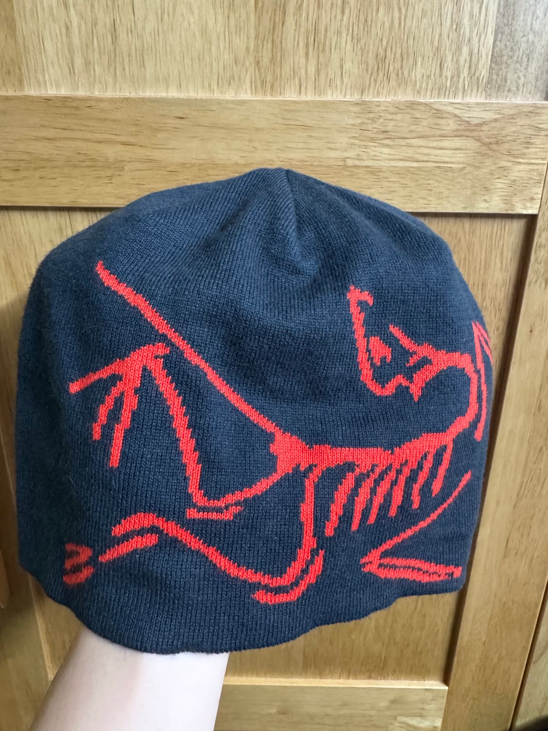 아크테릭스 라이트헤드 버드 헤드토크 상품이미지2