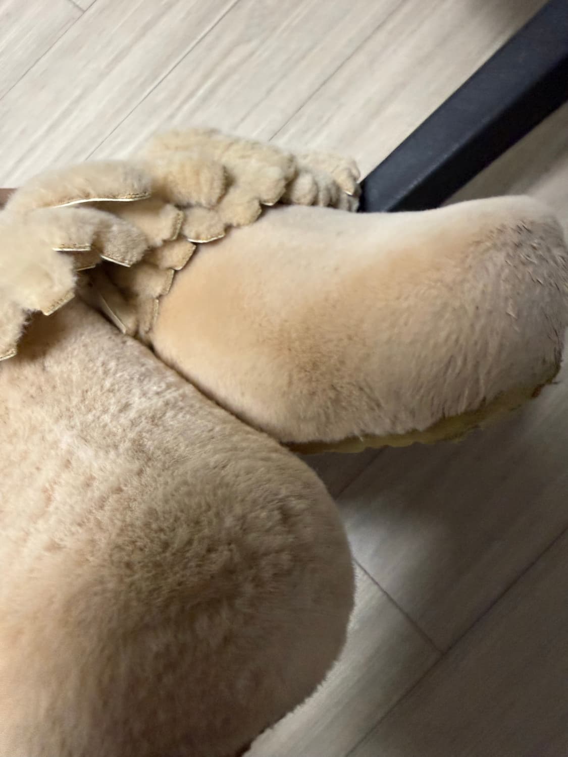 페르커 티코 베이지 280 상품이미지3