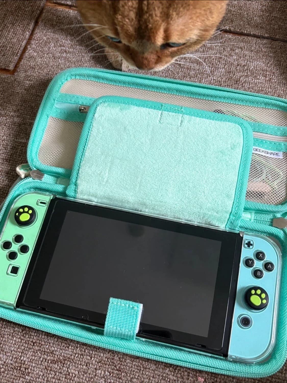 닌텐도 스위치 모동숲 에디션  상품이미지1