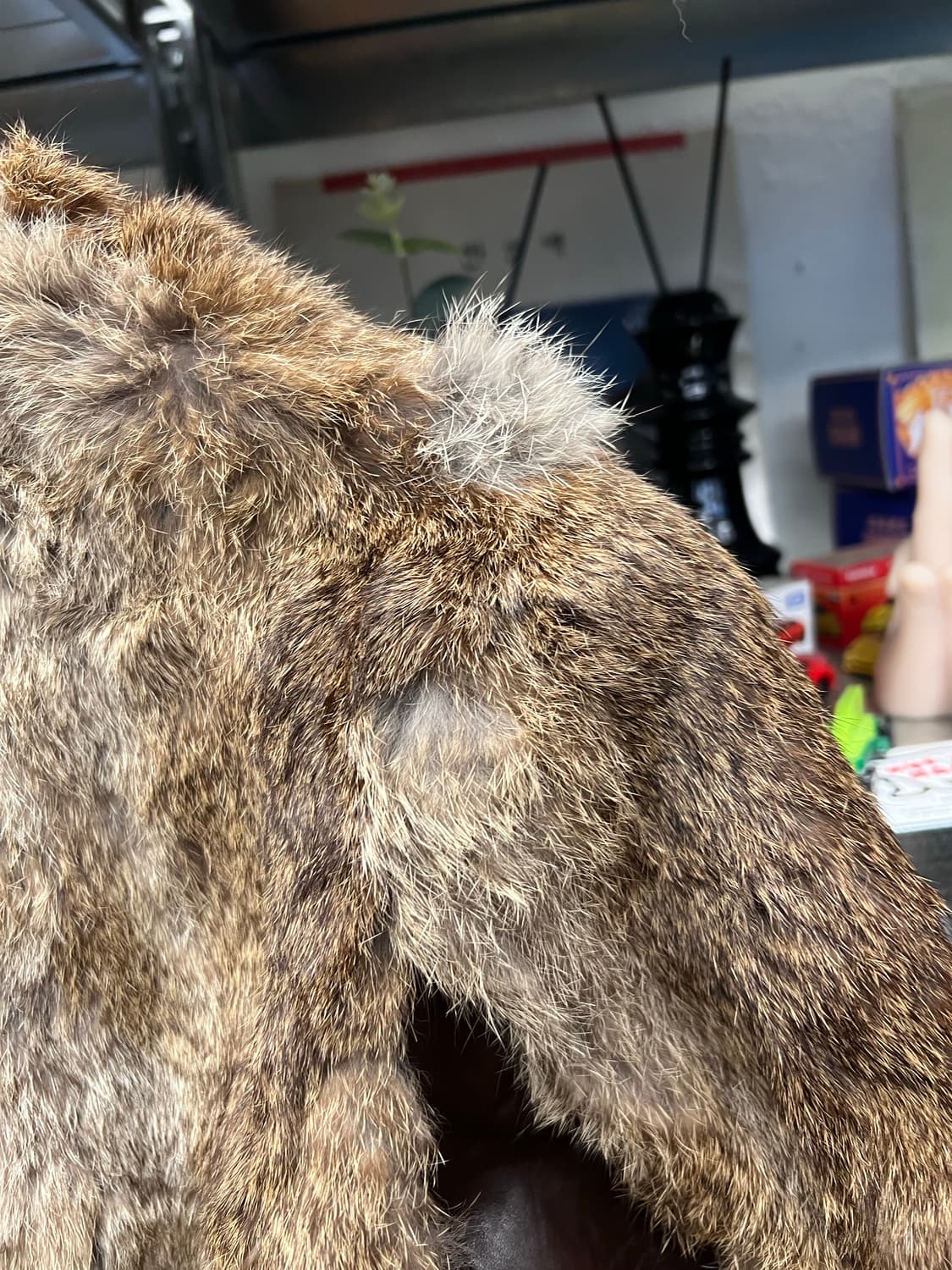 80s Golden Swallow Rabbit Fur Jacket 상품이미지3