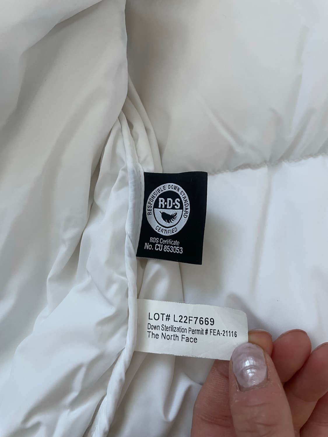 노스페이스 숏눕시 화이트 L 상품이미지4