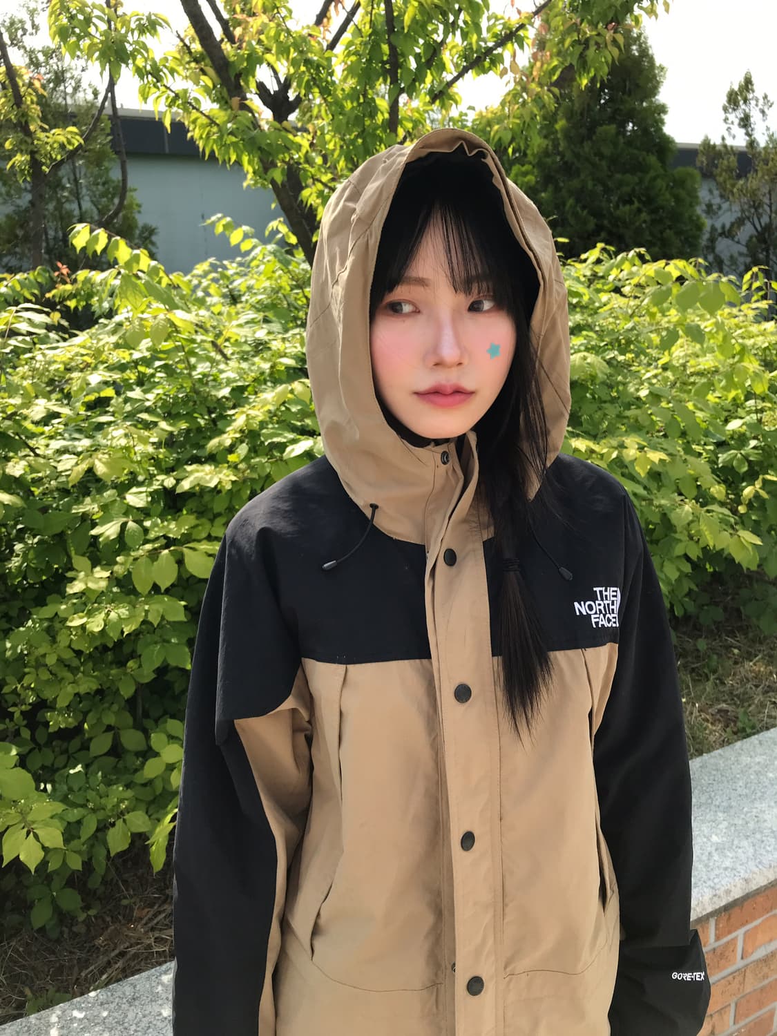 TNF 18FW Mountain Light Jacket Kelp Tan 상품이미지2