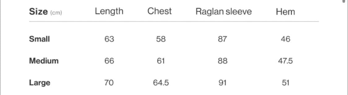 아메스 월드와이드 레저타임 기모 맨투맨 그레이 m 상품이미지2