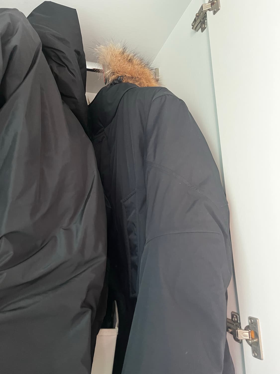 울리치 그리핀 한정판 콜라보 패딩 상품이미지3