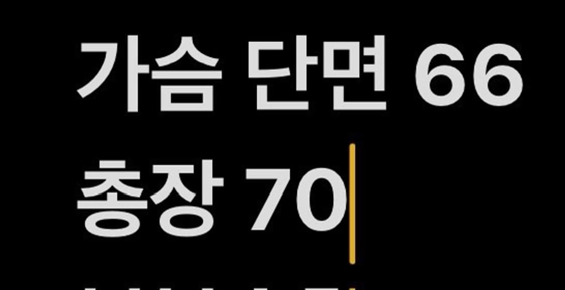 [정품/L] 엄브로 올드 빈티지 바람막이 레드 b15 상품이미지10