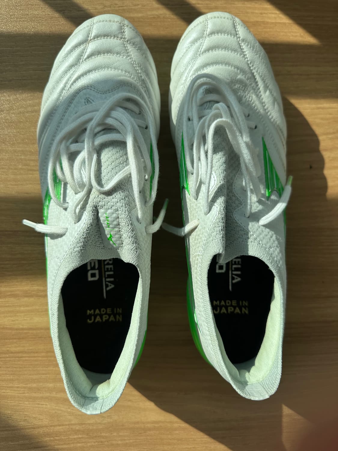 모렐리아 네오  상품이미지1