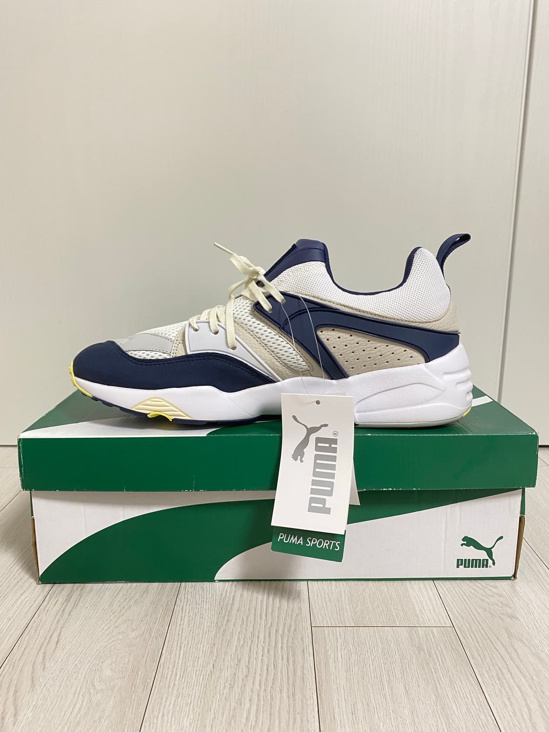 PUMA BLAZE OF GLORY PRM 상품이미지2