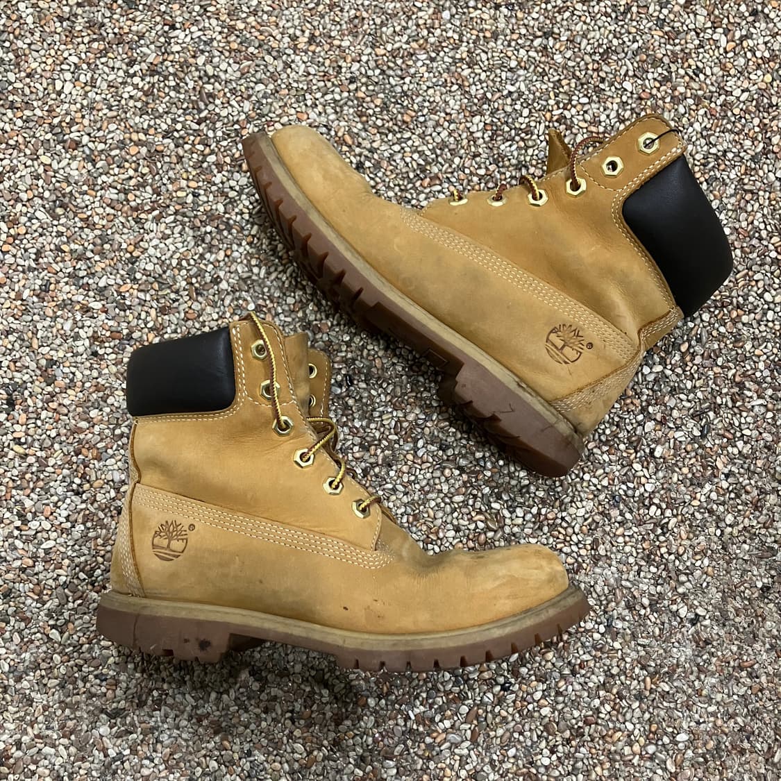 226 팀버랜드 6인치 부츠 상품이미지3