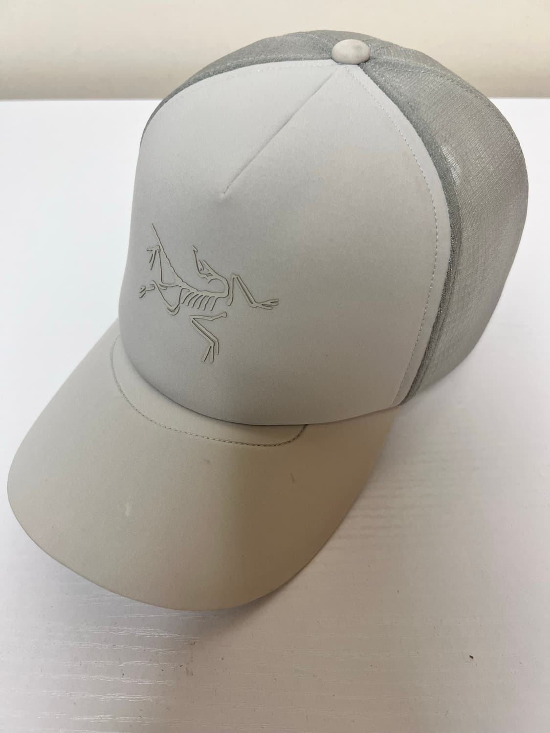 아크테릭스 캡 상품이미지1