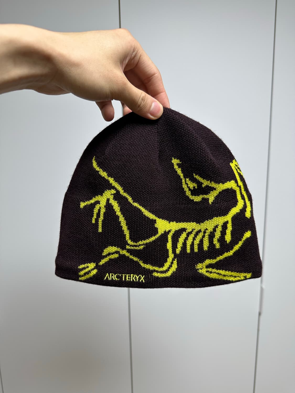 아크테릭스 버드 헤드 비니 급처 상품이미지1