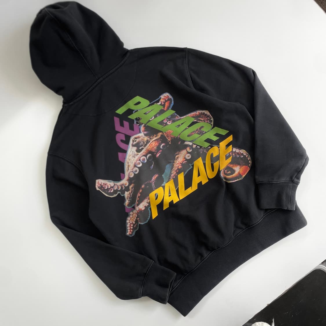 Palace  팔라스 옥토 포레스트 후드티 상품이미지2