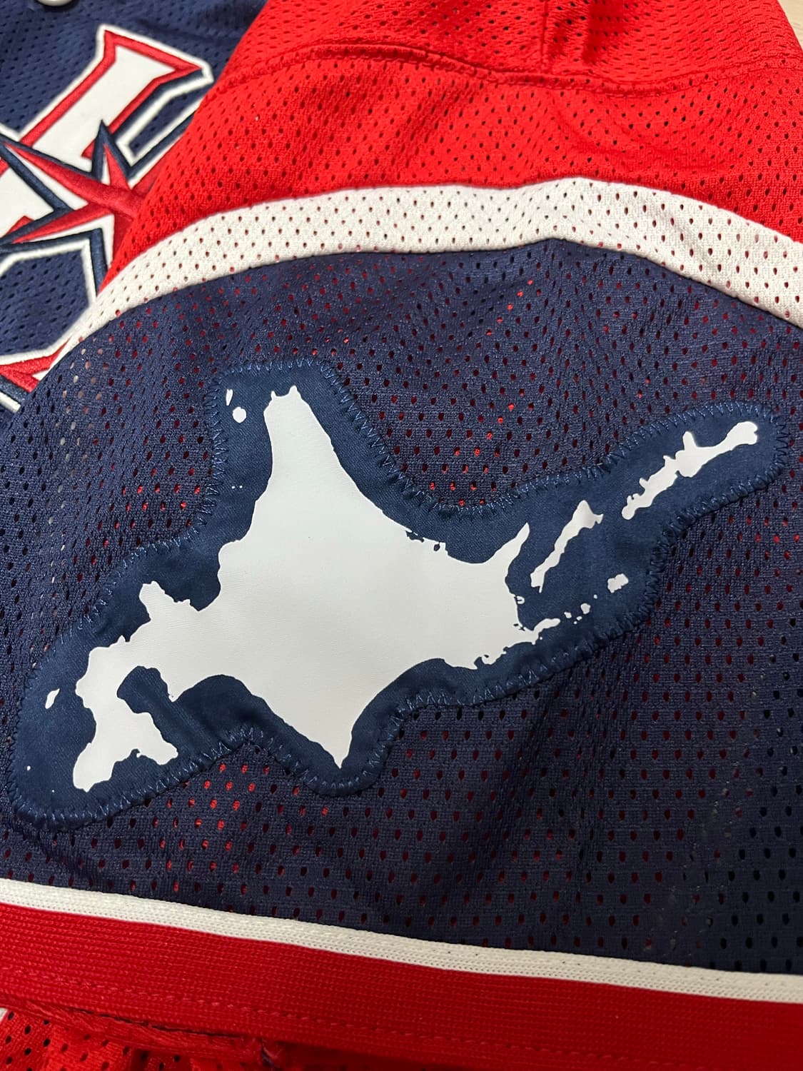 미즈노 니혼햄 파이터스 오타니 2017 홋카이도 시리즈 앰비셔스 유니폼 상품이미지4