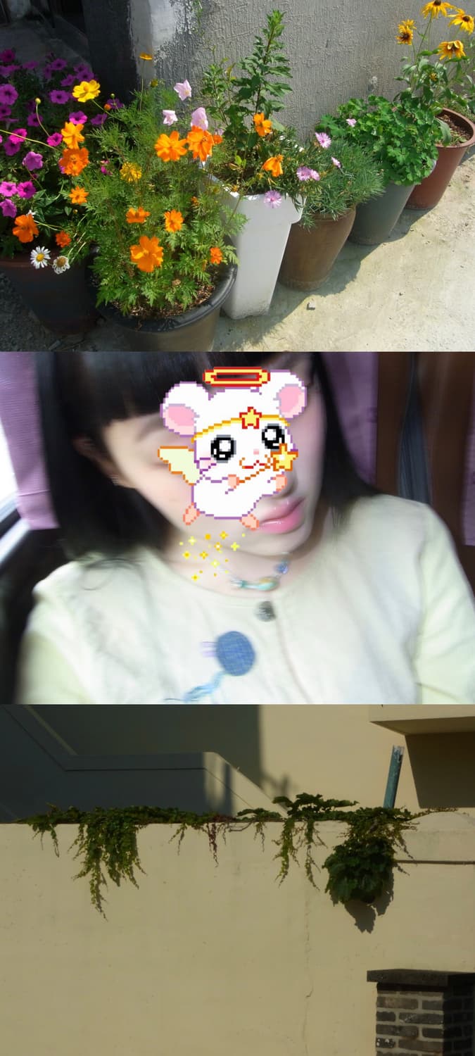 🥤소다 디카🥤 리코 CX1 실버 빈티지 디카 상품이미지9