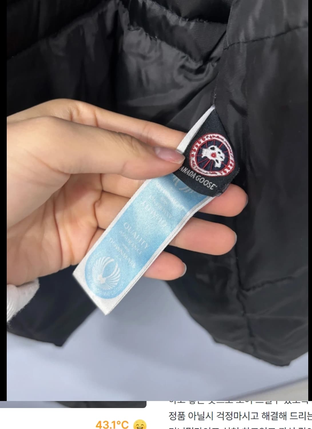 캐나다 구스 몬테벨로 하이넥 패딩 ~66 상품이미지7