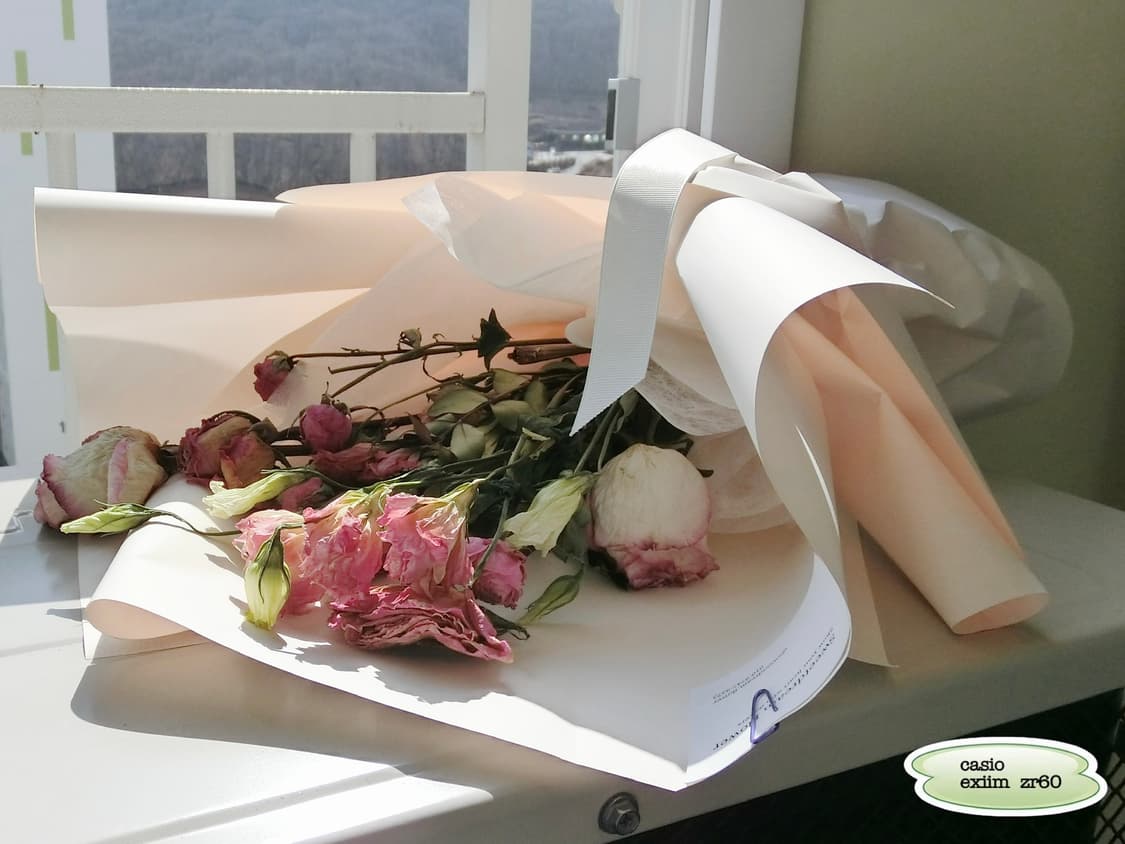 작례o) casio exilim zr-60 상품이미지4