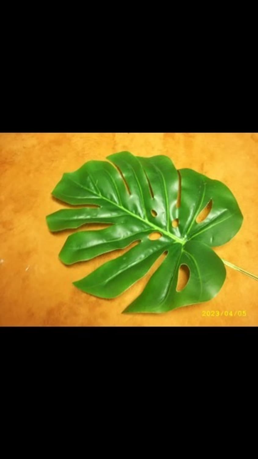 삼성 케녹스LX1디카 상품이미지7