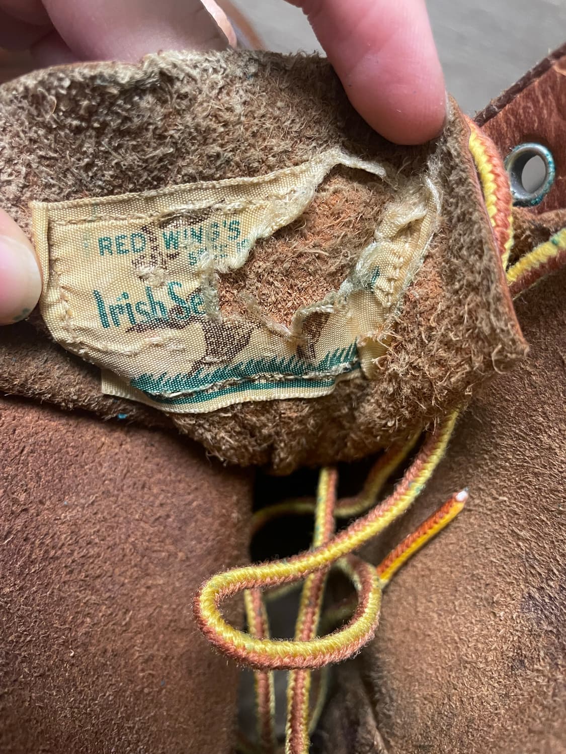 레드윙 아이리쉬세터 상품이미지5