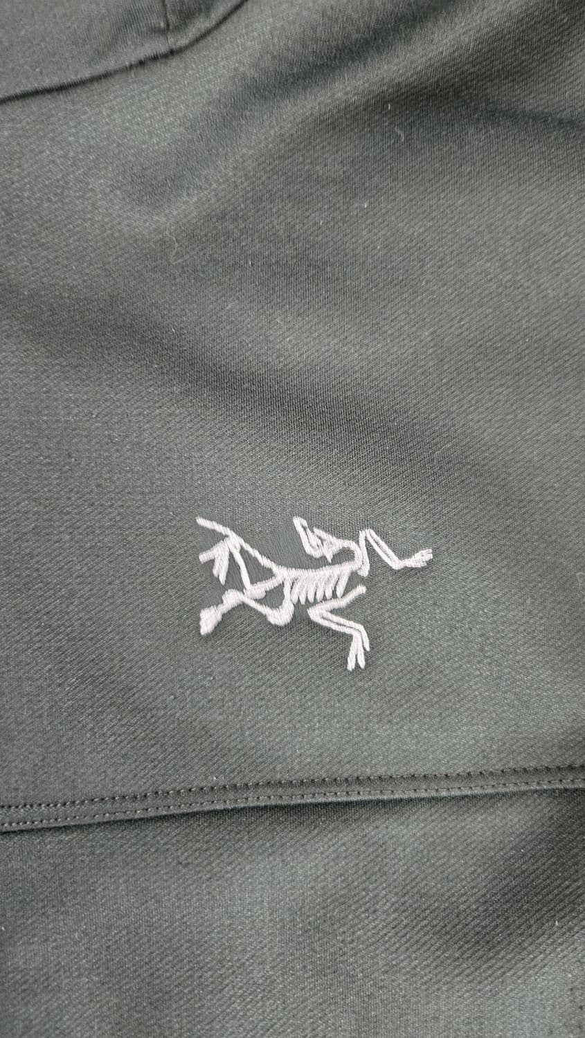 아크테릭스 아레나이트 남성 L 상품이미지2