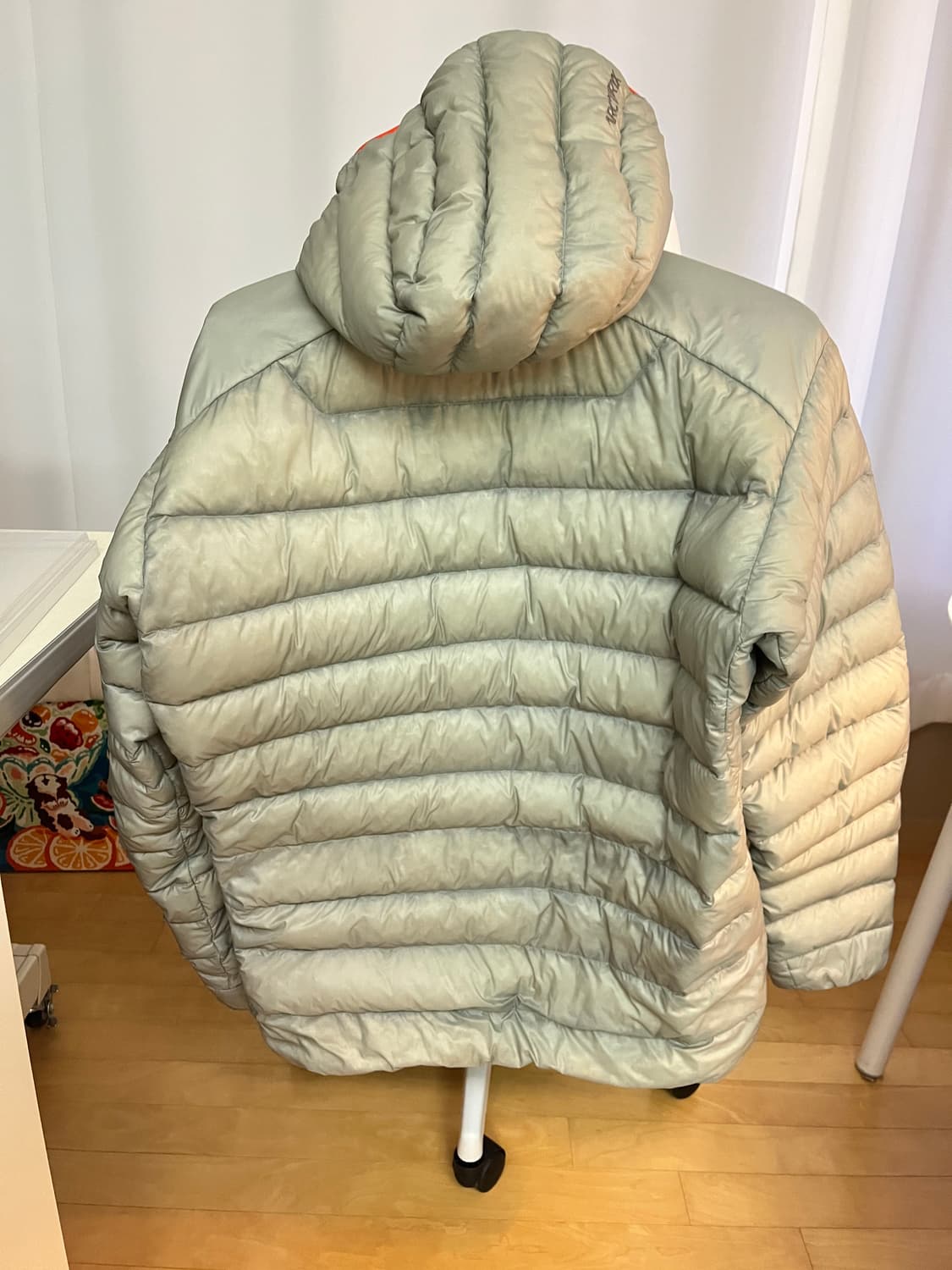 아크테릭스 세륨  상품이미지2