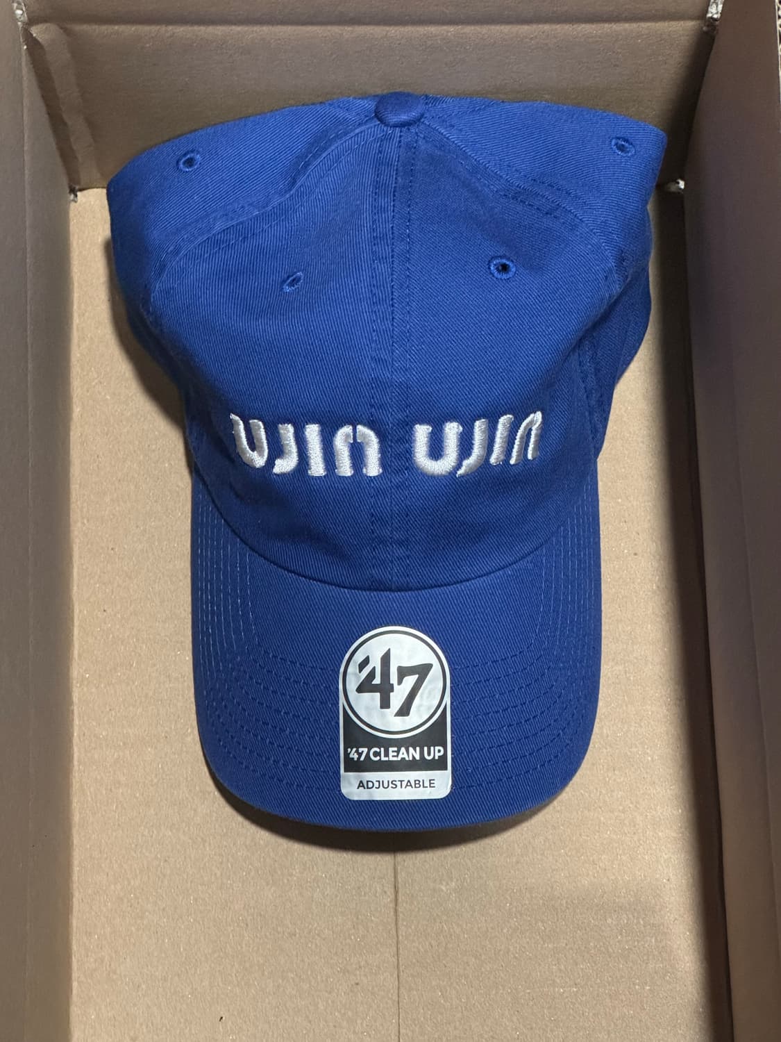 Nptss 미우미우 블루 볼캡 상품이미지2