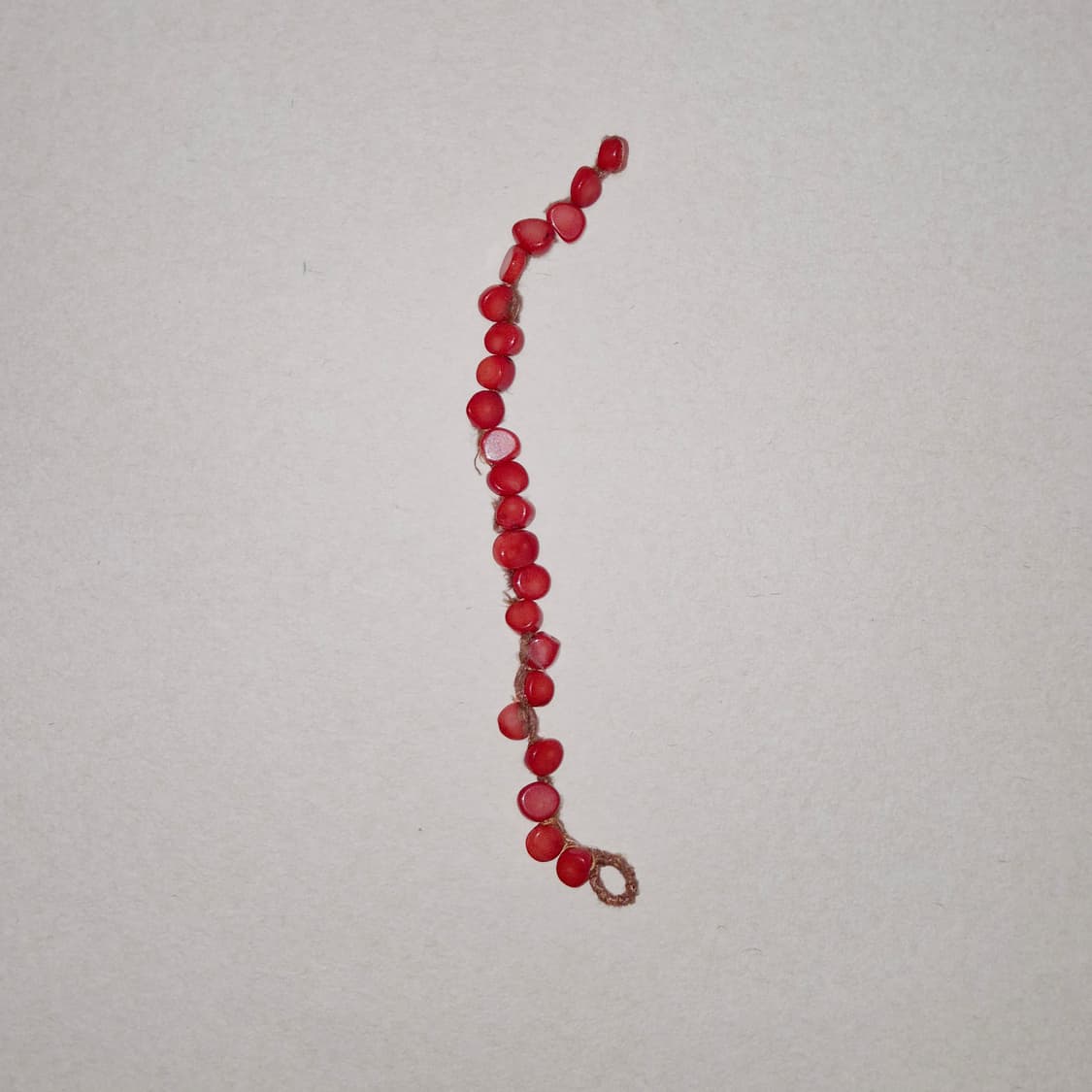 산호팔찌 상품이미지2