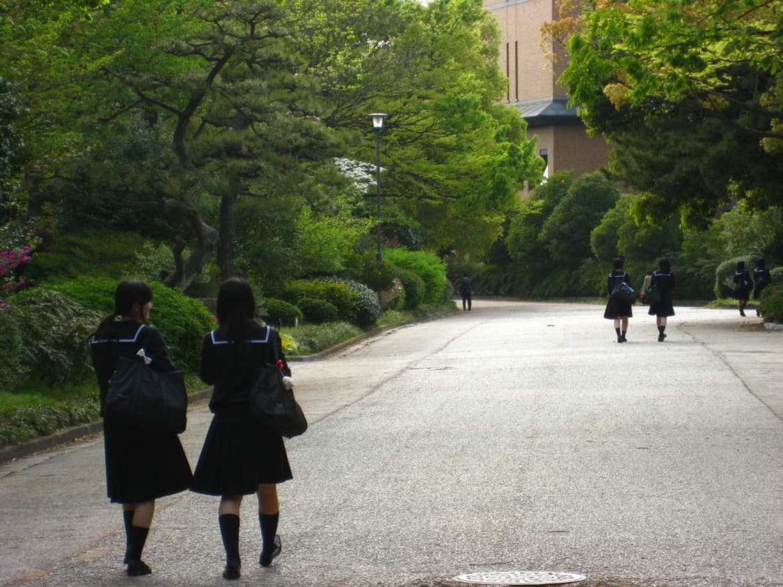 캐논 익서스 55 Canon IXUS 55 (IXY 60 익시 60) 상품이미지3