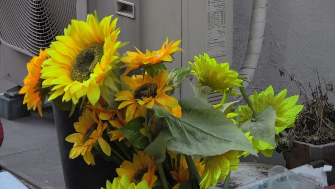 캐논 ivis hf s21 캠코더 (빅시아와 동일) 작례o 상품이미지10