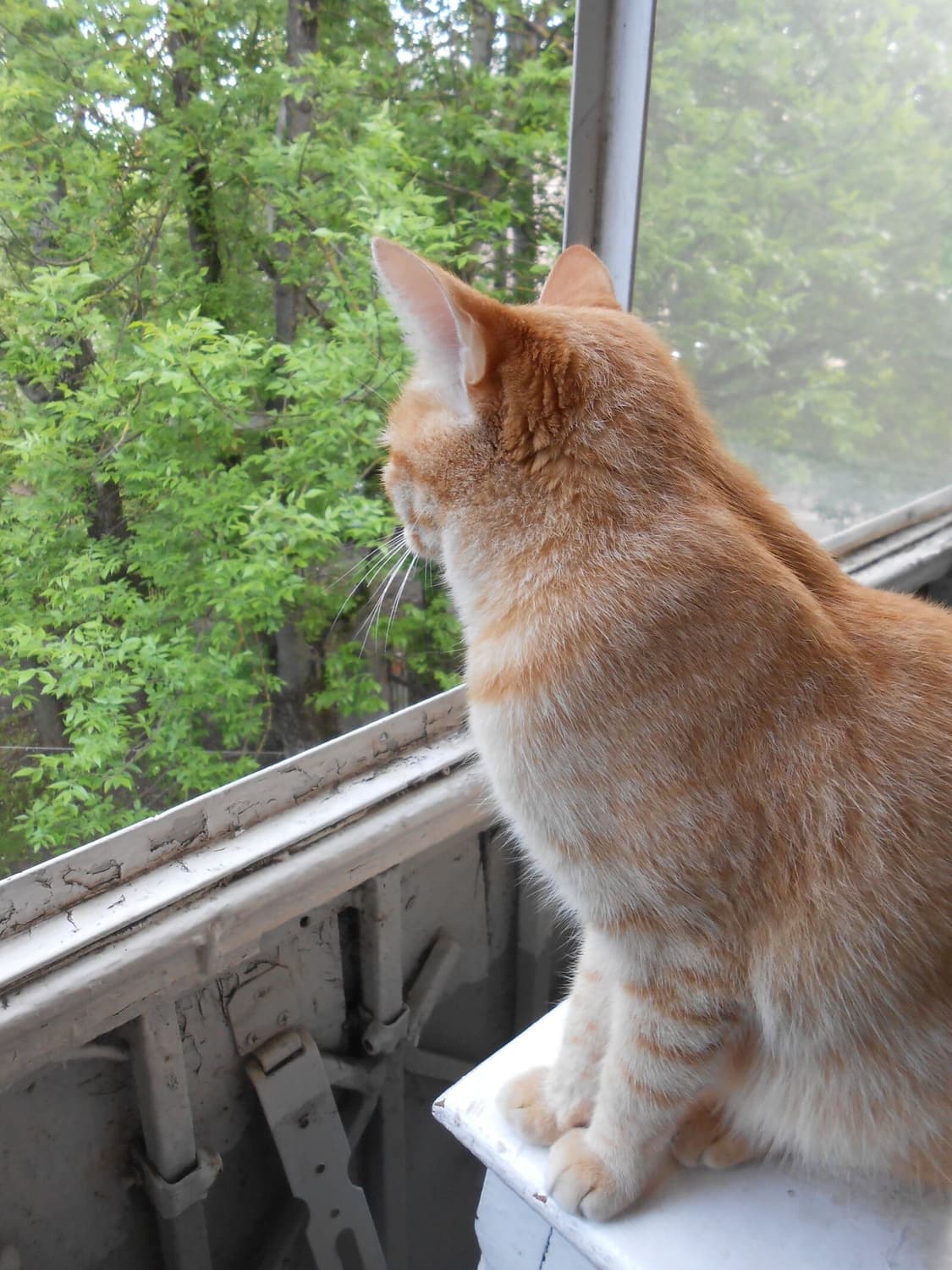 (색감/감성) 니콘 쿨픽스 S3300 빈티지 디카 디지털카메라 상품이미지8