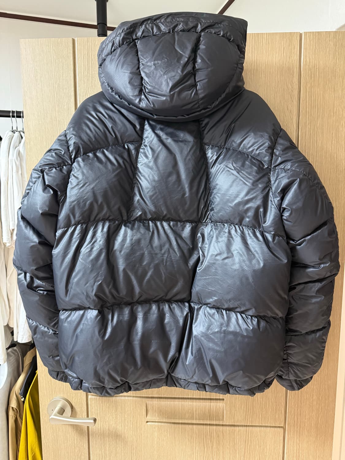 골드윈 퍼텍스퀀텀 3 상품이미지2