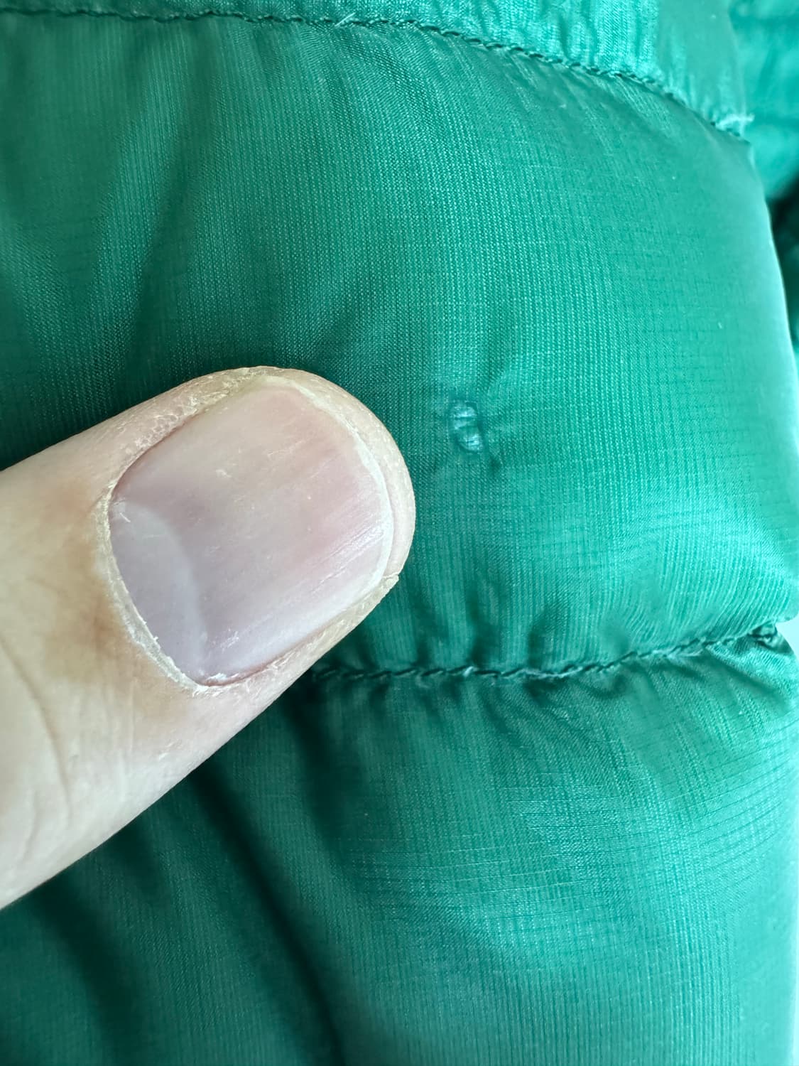 L 아크테릭스 세륨 LT 후디 패딩 캐년그린 프랭크오션 상품이미지5