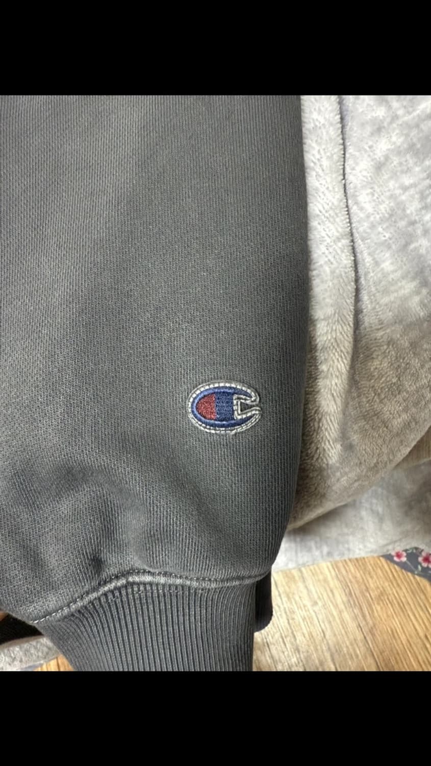 챔피온 아치로고 피그먼트 후드집업 상품이미지2