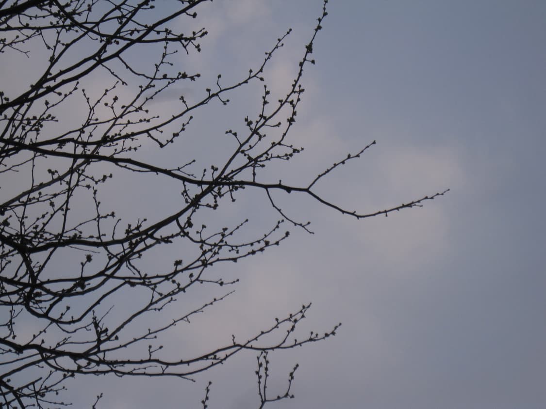 익서스95 작례 상품이미지4