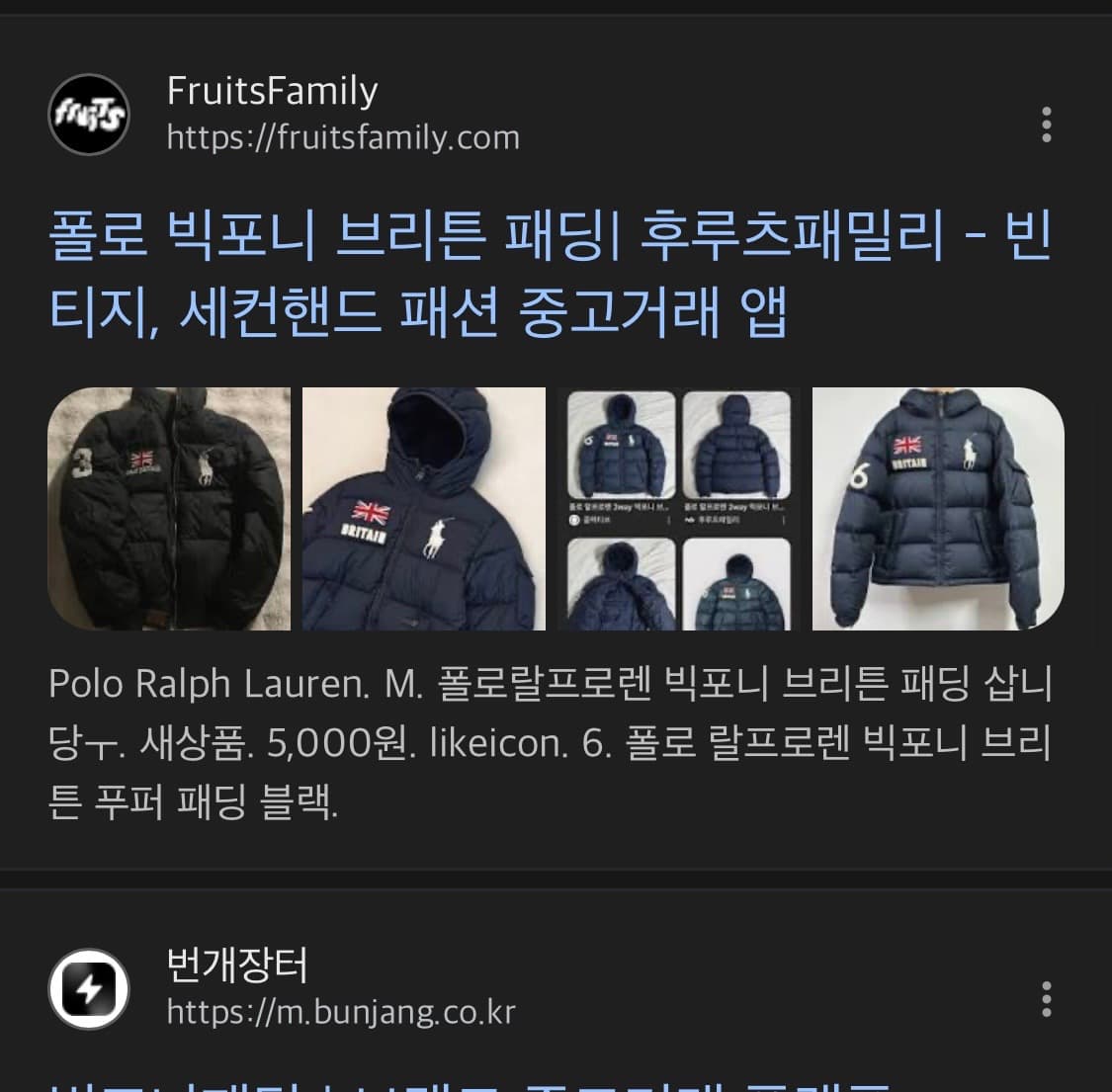 폴로 빅포니 패딩 구해요 상품이미지1