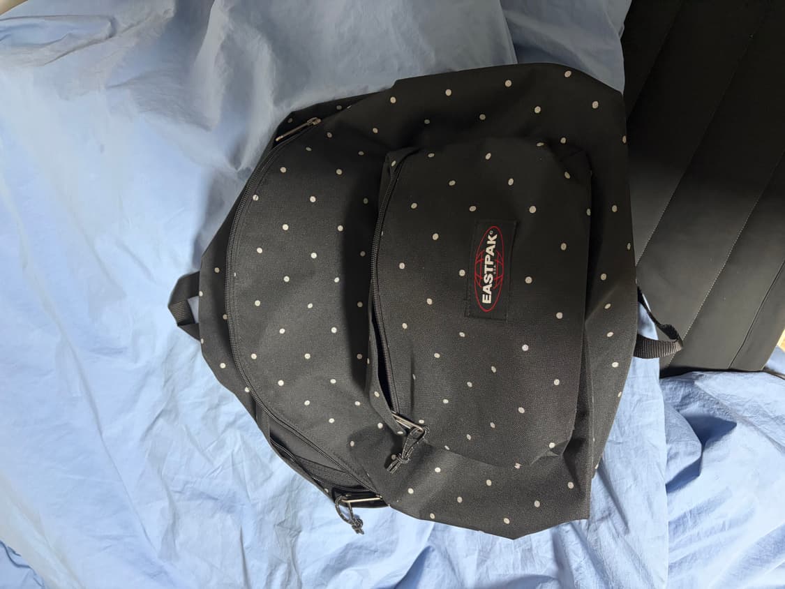이스트팩 도트 땡땡이 백팩 GLITTER DOTS 패디드파커백팩 상품이미지2