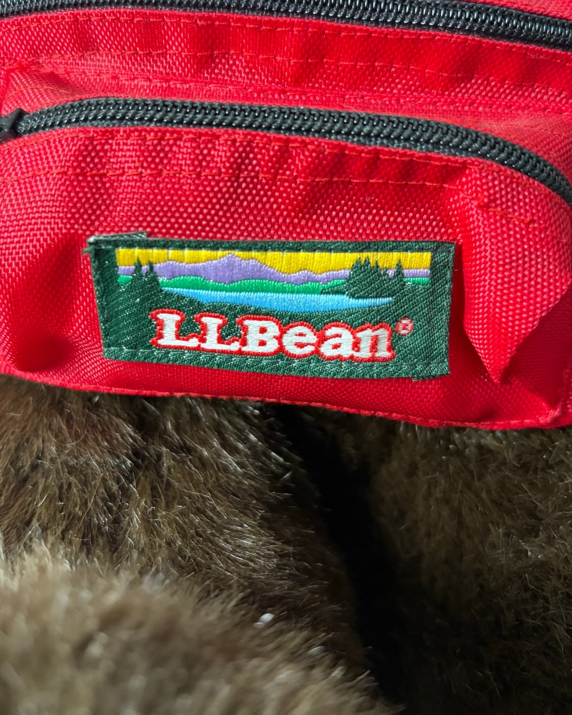 LL Bean 곰돌이인형_블루 상품이미지4