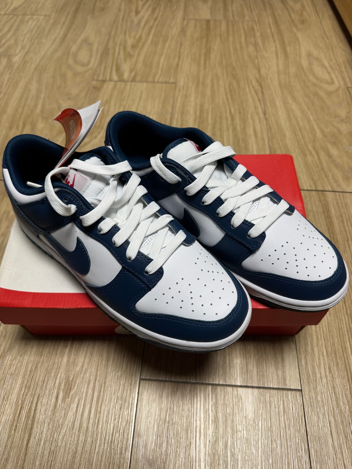 덩크 로우 레트로 발레리안 블루 265 상품이미지1