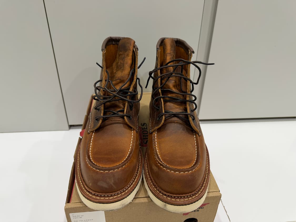 레드윙 목토 6인치 270 상품이미지3