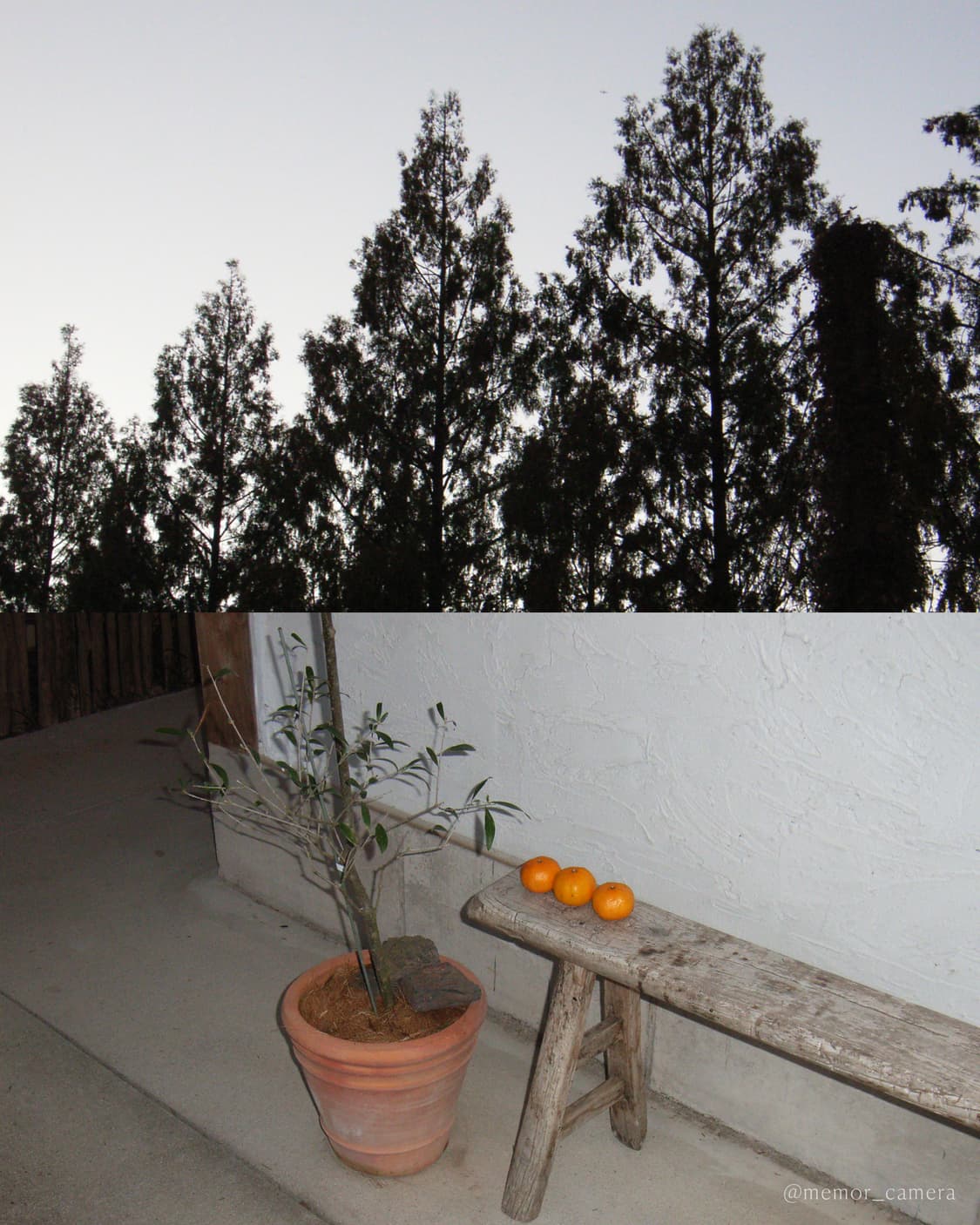 노란기없는/블러리뽀용작례✨RICOH Caplio R2 리코 디카 상품이미지8