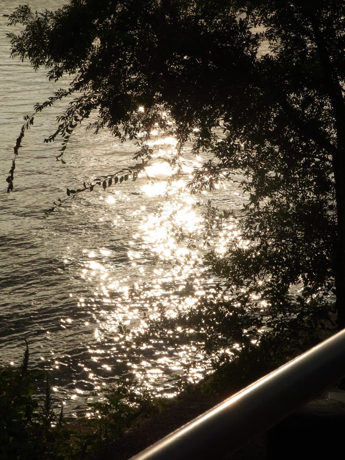 [강력추천]리코 RICOH CX4 빈티지디카 블랙컬러 상품이미지5